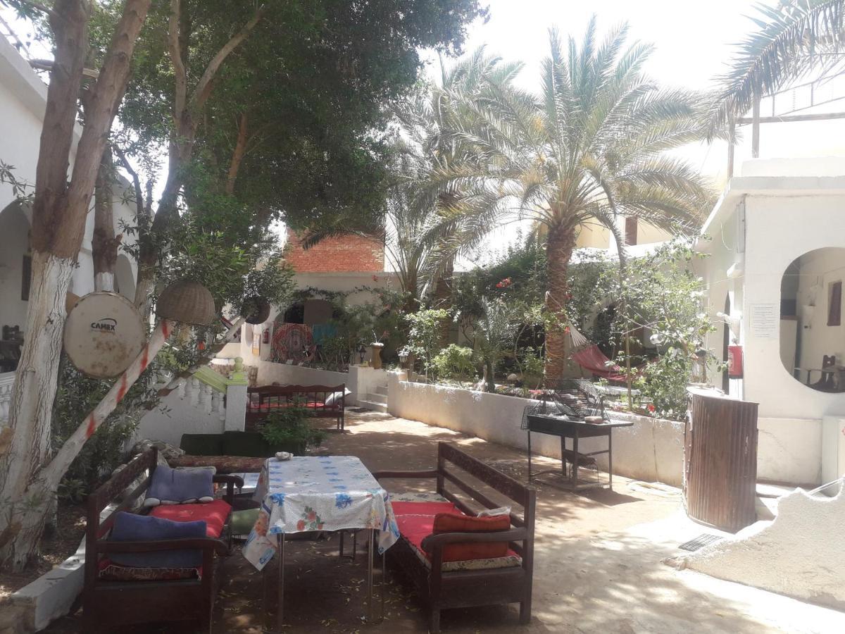 Fighting Kangaroo Camp Hotel Dahab Luaran gambar