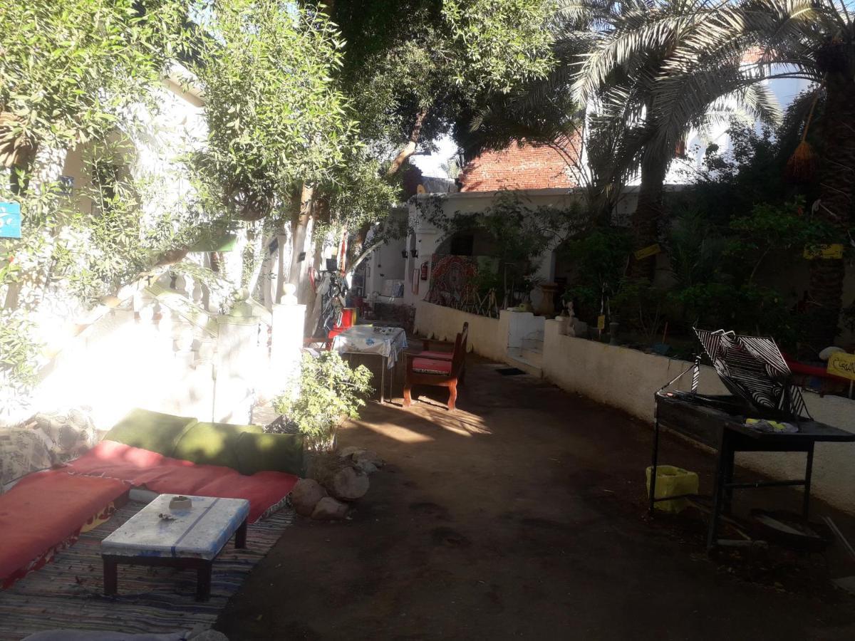 Fighting Kangaroo Camp Hotel Dahab Luaran gambar