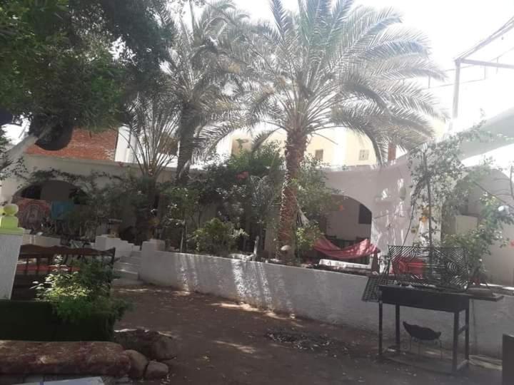 Fighting Kangaroo Camp Hotel Dahab Luaran gambar