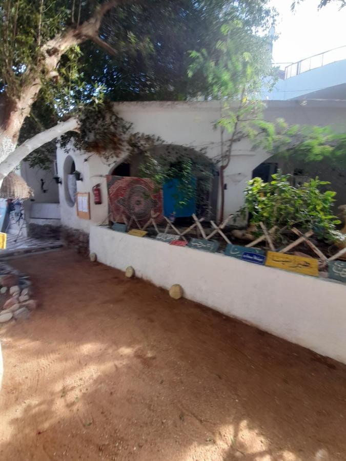 Fighting Kangaroo Camp Hotel Dahab Luaran gambar