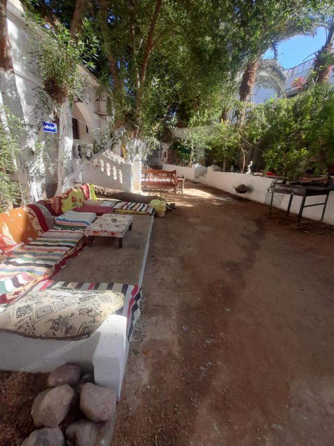 Fighting Kangaroo Camp Hotel Dahab Luaran gambar