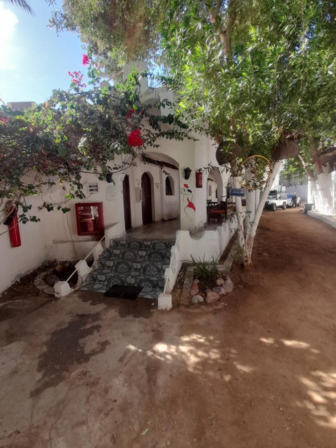 Fighting Kangaroo Camp Hotel Dahab Luaran gambar