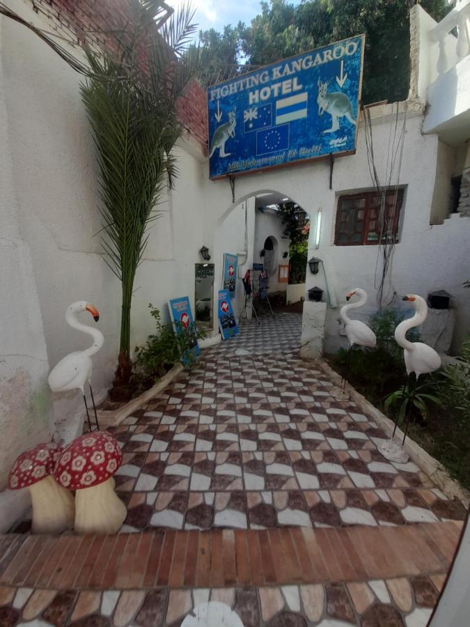 Fighting Kangaroo Camp Hotel Dahab Luaran gambar