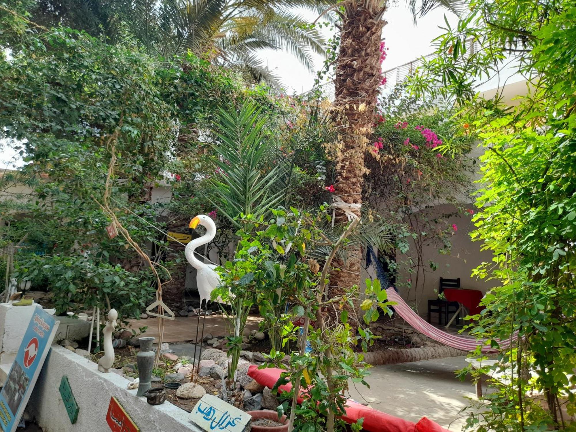 Fighting Kangaroo Camp Hotel Dahab Luaran gambar
