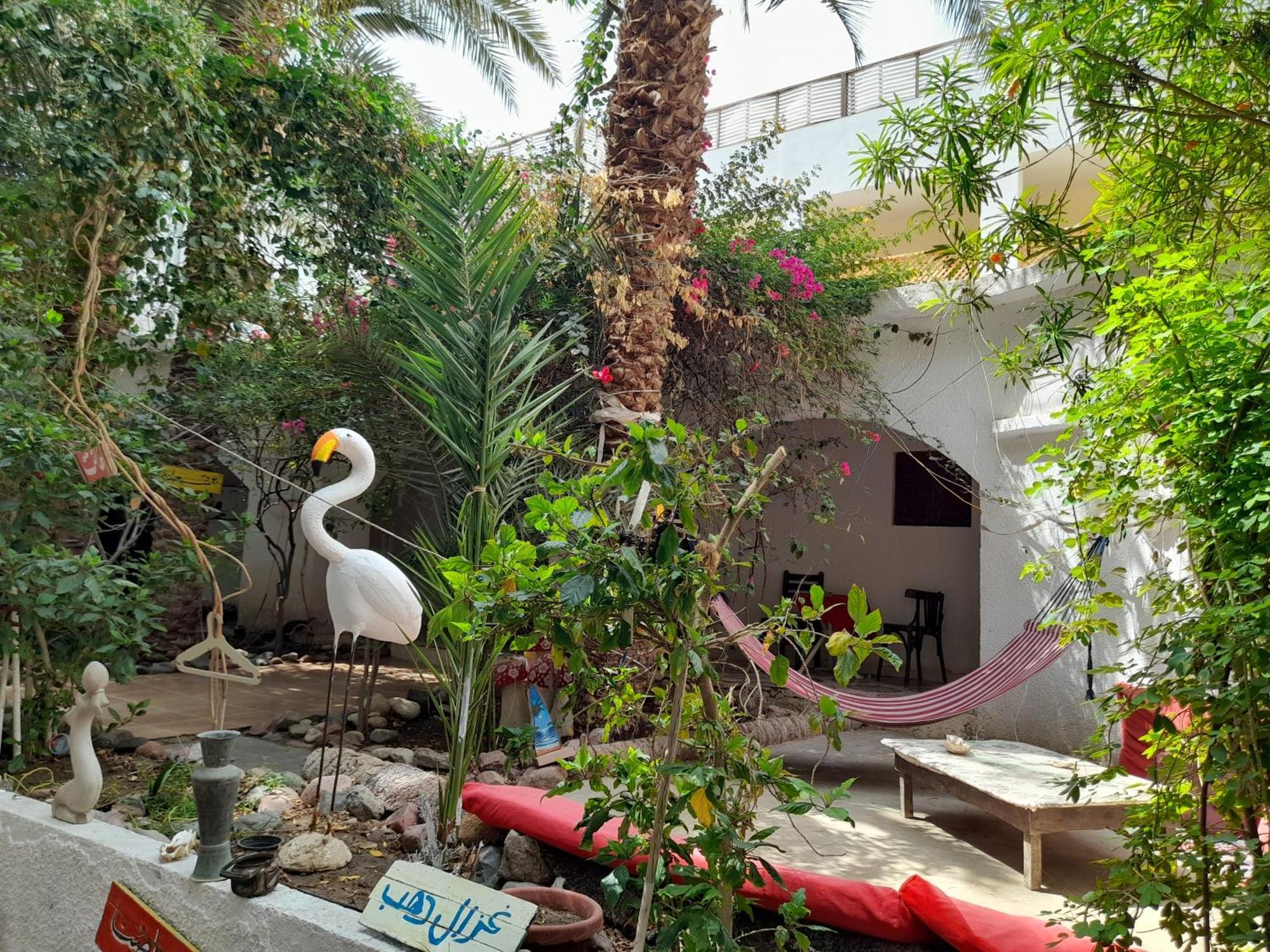 Fighting Kangaroo Camp Hotel Dahab Luaran gambar